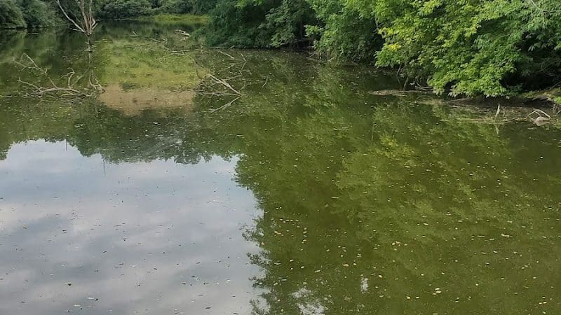 Zion RV park - Flushing, OH