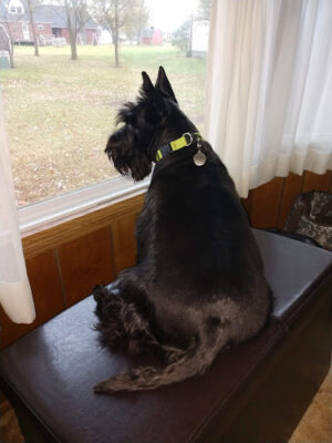 Ft Recovery Veterinary Center