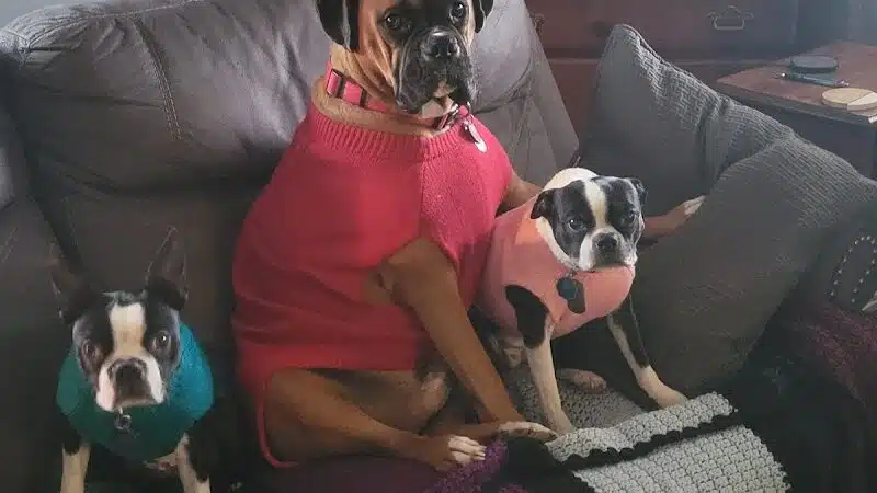 Ft Recovery Veterinary Center - Fort Recovery, OH