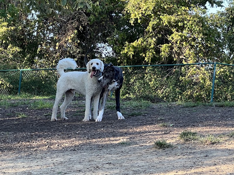 Fort Thomas Dog Park - Fort Thomas, KY