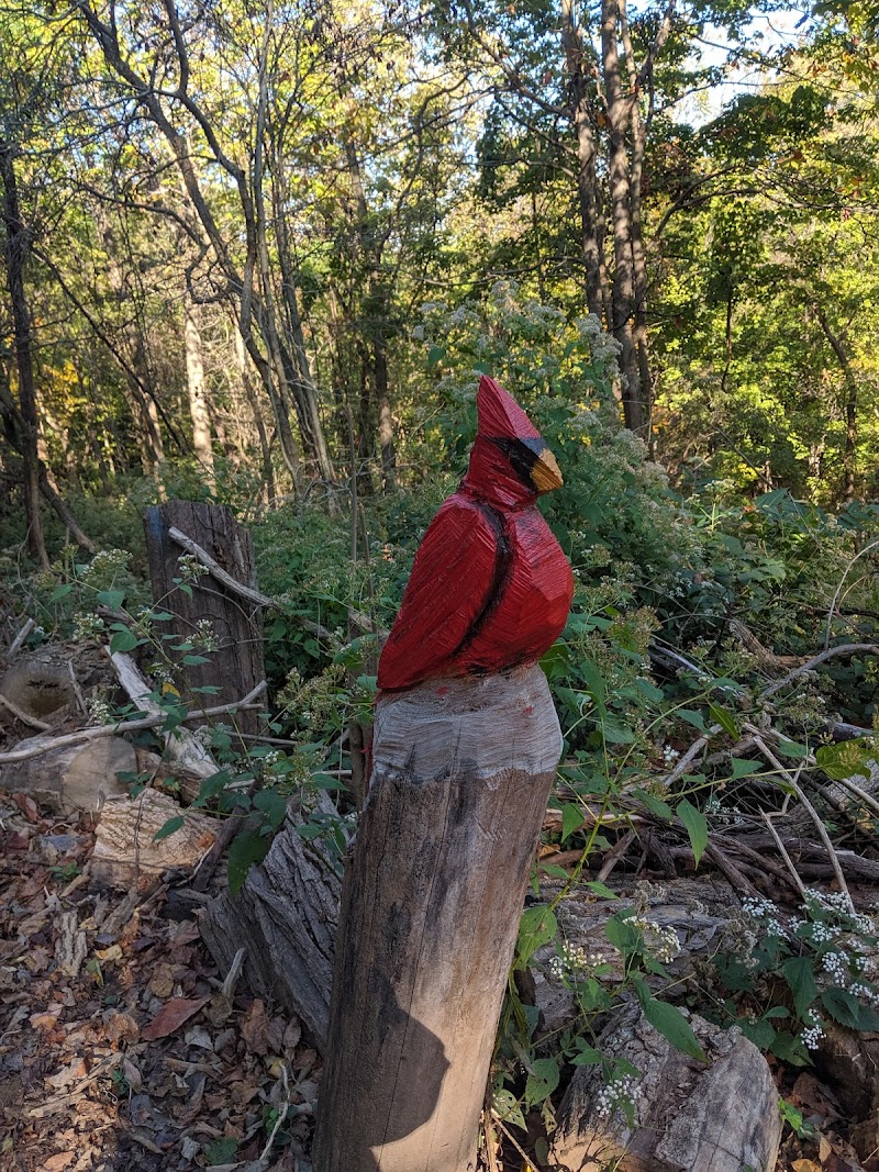 Fort Thomas Dog Park - Fort Thomas, KY