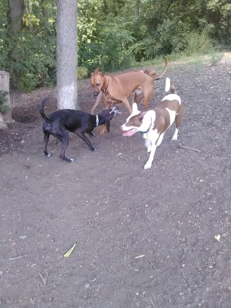 Fort Thomas Dog Park - Fort Thomas, KY