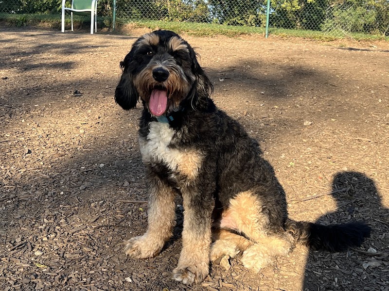 Fort Thomas Dog Park - Fort Thomas, KY