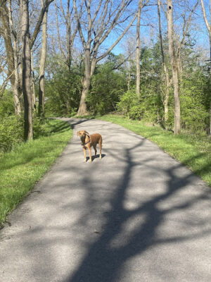 Clearcreek Park