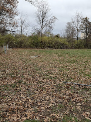V.F.W. Picnic grounds