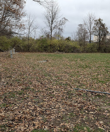 V.F.W. Picnic grounds