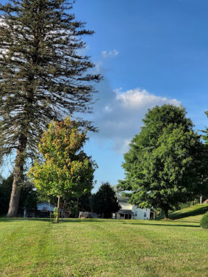 Fredericksburg Community Park