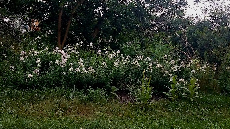 Holmes County Trail - Fredericksburg, OH