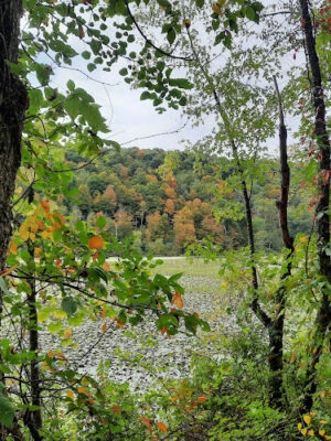 Holmes County Trail