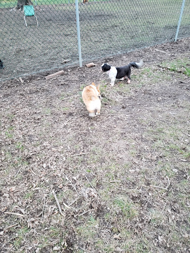 Fremont City Dog Park