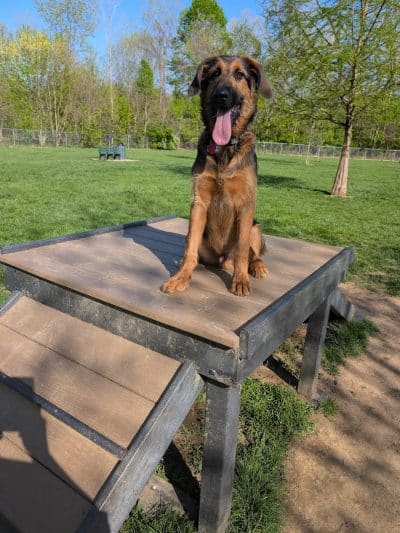 Pizzurro Park - Gahanna, OH