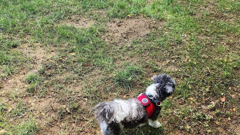 Galena Dog Park - Galena, IL