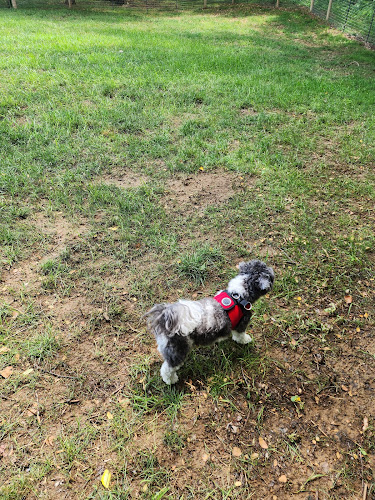 Galena Dog Park