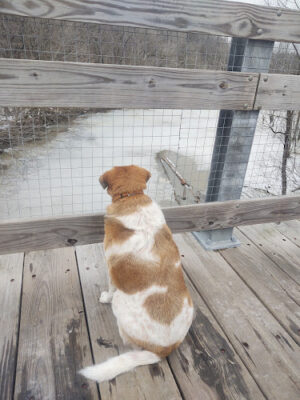 Galena Brick Trail/Ohio to Erie Trail