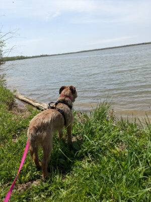 Alum Creek State Park Hiking Trail