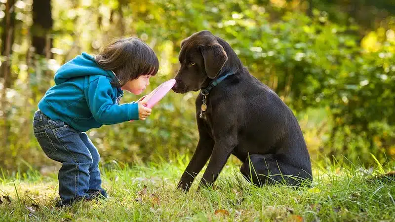 Mann Vet Clinic - Galena, OH