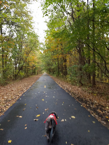 McNamara Park