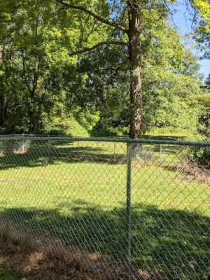 Galion city dog park