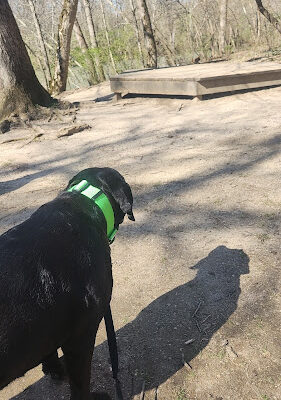 Darby Creek Park (Control)