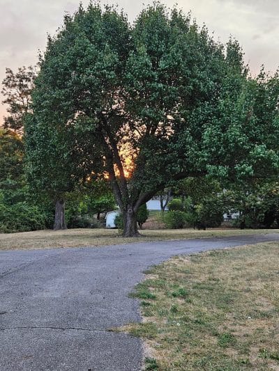 Greene Countrie Park - Galloway, OH