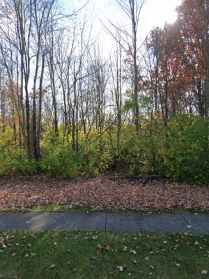 Westchester Park