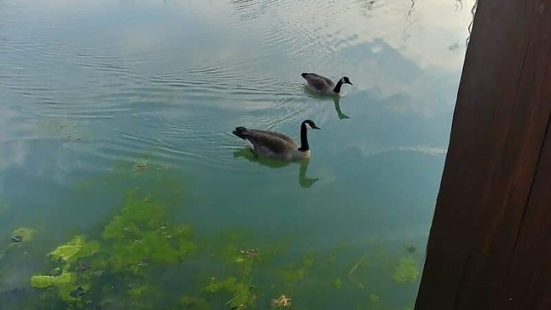 Bacci Park - Garfield Heights, OH