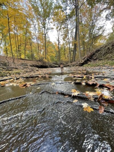 Garfield Park Reservation - Garfield Heights, OH