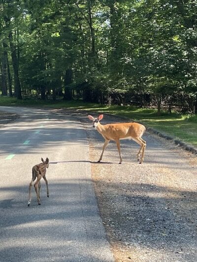 Garfield Park Reservation - Garfield Heights, OH