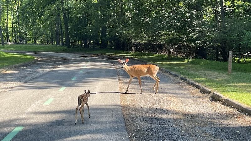 Garfield Park Reservation - Garfield Heights, OH