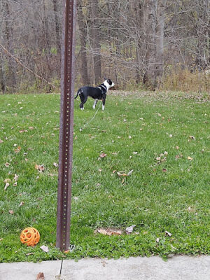 Tom Hardesty Village Park