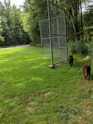 Feller's Field