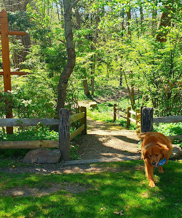 Gates Mills Arboretum