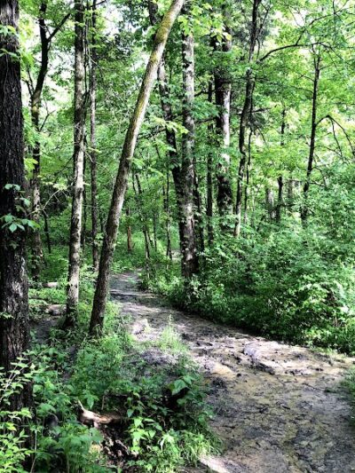 Germantown MetroPark - Germantown, OH