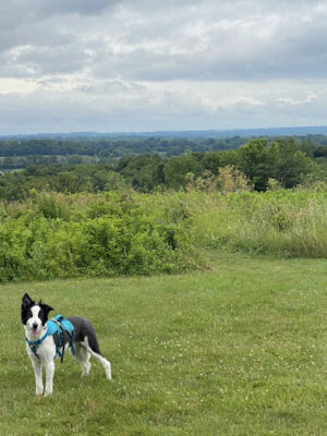 High View Park