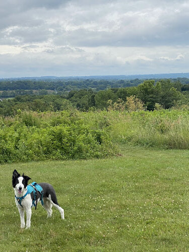 High View Park
