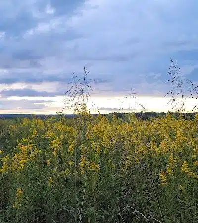 High View Park - Germantown, OH
