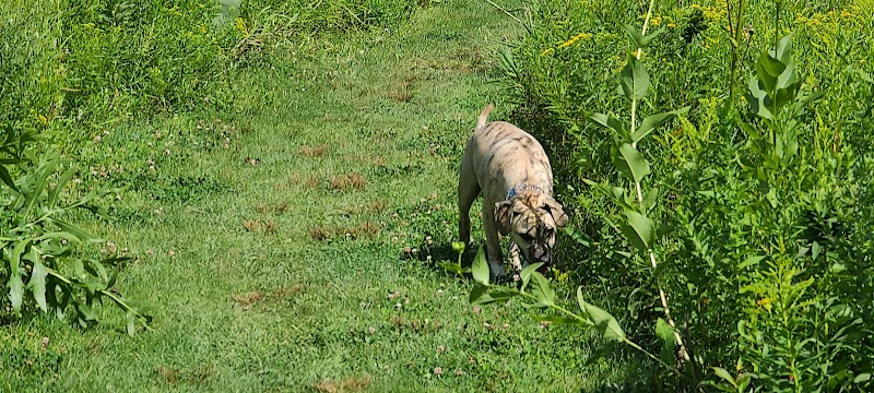Homestead Howl Dog Park - Germantown, WI