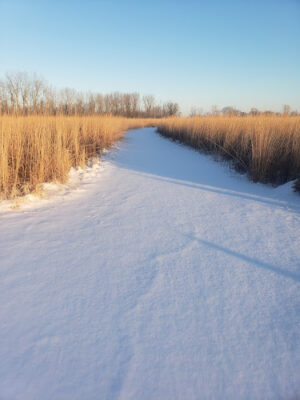 White Star Park: Horse Trails
