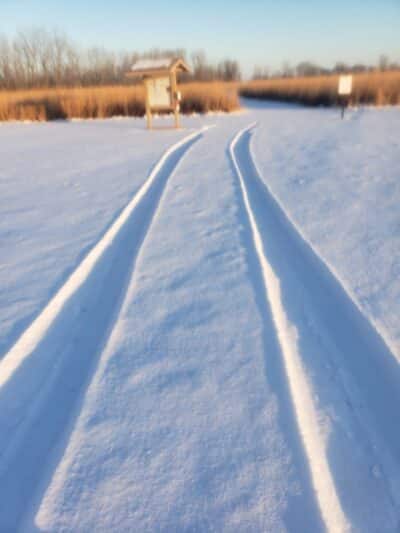 White Star Park: Horse Trails - Gibsonburg, OH