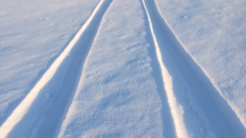 White Star Park: Horse Trails - Gibsonburg, OH