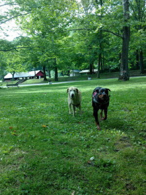 Liberty Park