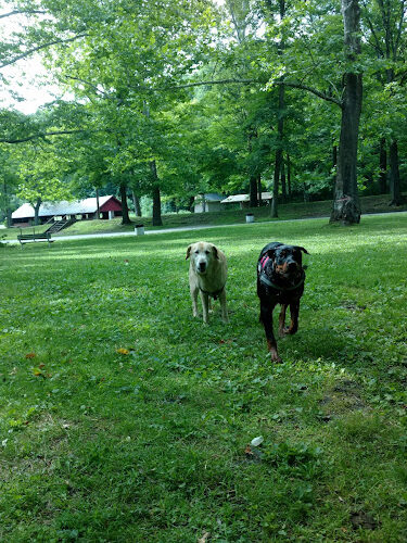 Liberty Park