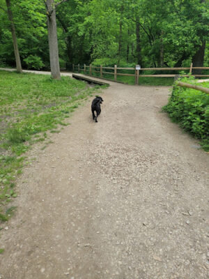 West Mill Creek Park