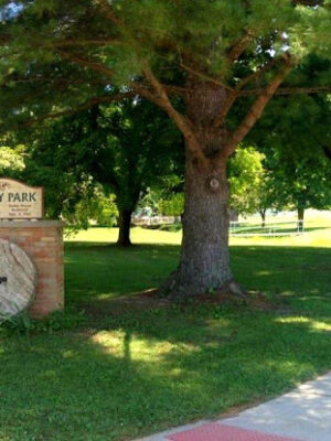 Shelly Park