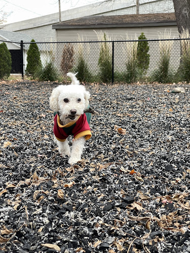 Sprocket Dog Park