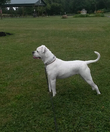 Kathryn Stagge-Marr Community Park