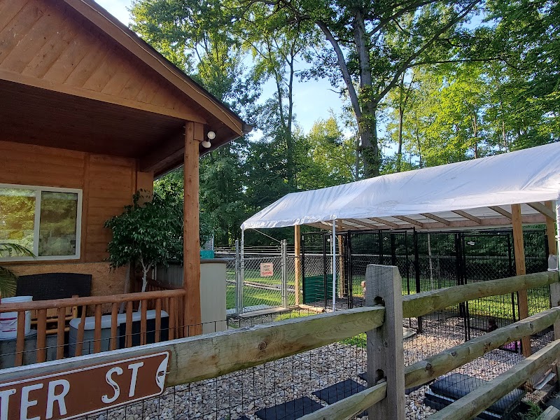 Paws Inn the Woods - Grafton, OH