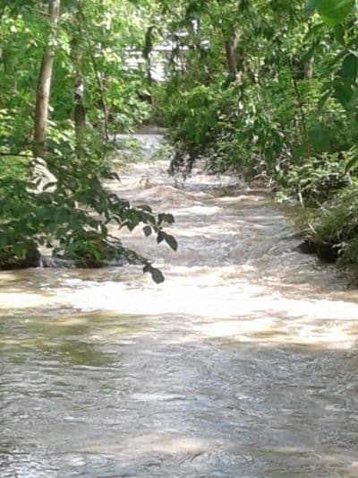 Reservoir Park - Grafton, OH