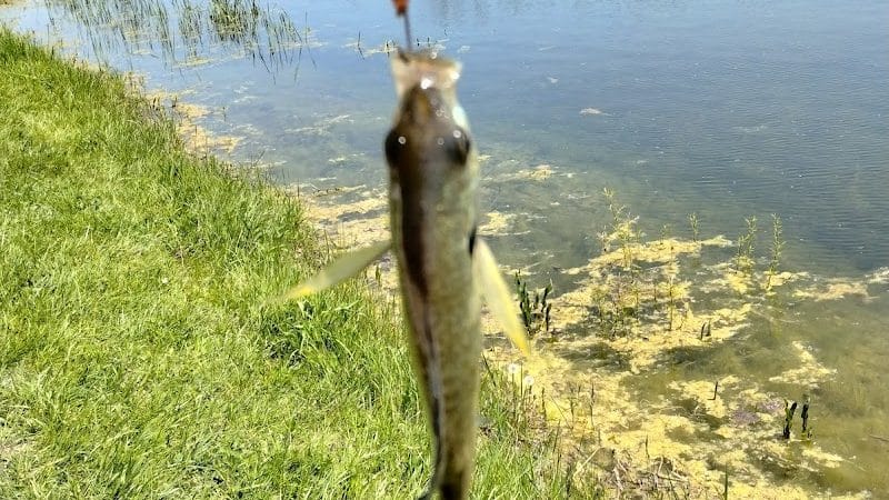 Reservoir Park - Grafton, OH