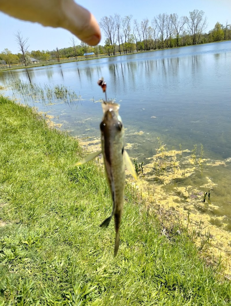 Reservoir Park - Grafton, OH